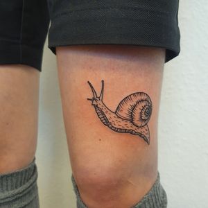 A not so small snail above the knee.