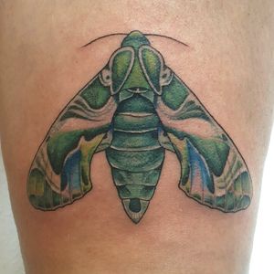 Love to tattoo colorful moths.
