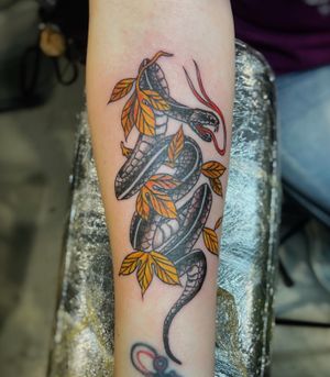 Snake in leaves done at New England Tattoo Expo.📩vinnytattoos95@gmail.com / @vinnyscialabbatattoos
