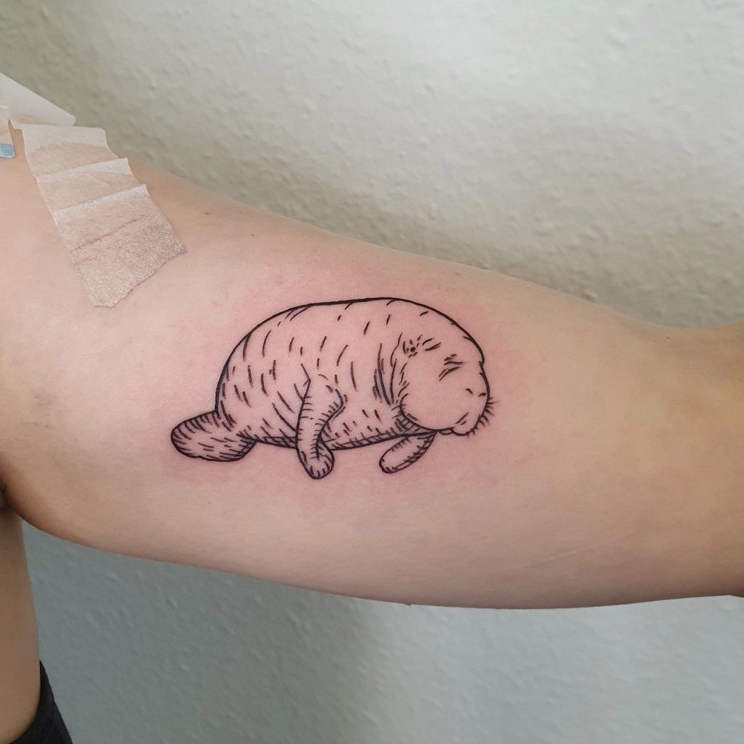 I love manatees  Animals  Tattoos Cartoon tattoos Leg tattoos