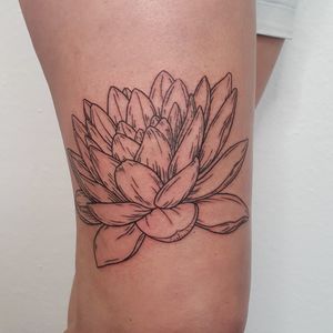 Water lily on the thigh. 