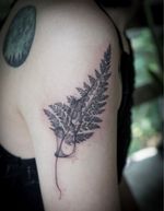 𝙄𝙂: 𝙣𝙖𝙩𝙚_𝙩𝙝𝙖𝙞𝙡𝙖𝙣𝙙 🌿 Blackwork fern leaf tattoo with abstract flow by a tattoo artist in Chiang Mai, Thailand