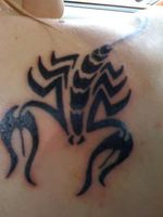 My scorpion on the right shoulder blade. I would like to get another one like it on my other shoulder. 