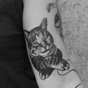 Cat for Karin. Thank you so much. 🖤---#cats #cattattoo #catportrait #portraittattoo #petportrait #femaletattooist #swisstattoo #switzerlandtattoo #femaletattooartist #cat #catlover #cattattoos #catsofworld #catloversclub #catsofinstagram #paris #berlin #rom #zurich #zürich #winterthur