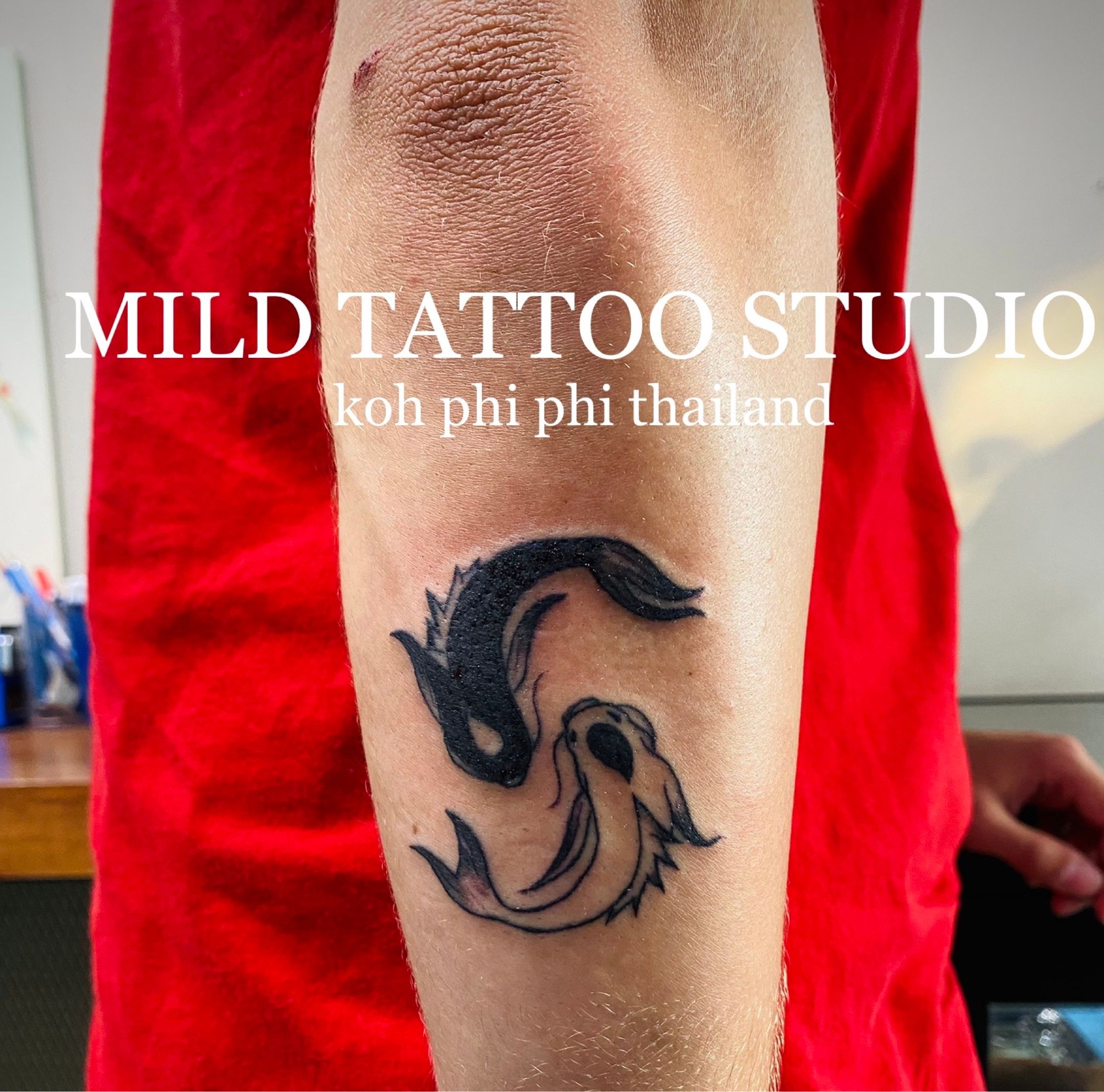 Tattoo uploaded by @MILD TATTOO STUDIO KOH PHI PHI THAILAND • #koifish  #yinyangtattoo #tattooart #tattooartist #bambootattoothailand #traditional  #tattooshop #at #mildtattoostudio #mildtattoophiphi #tattoophiphi  #phiphiisland #thailand #tattoodo ...