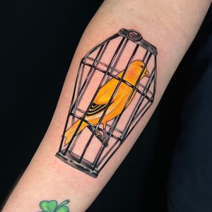 Vibrant new school style forearm tattoo featuring a colorful bird in a cage, done by a talented artist in London, GB.