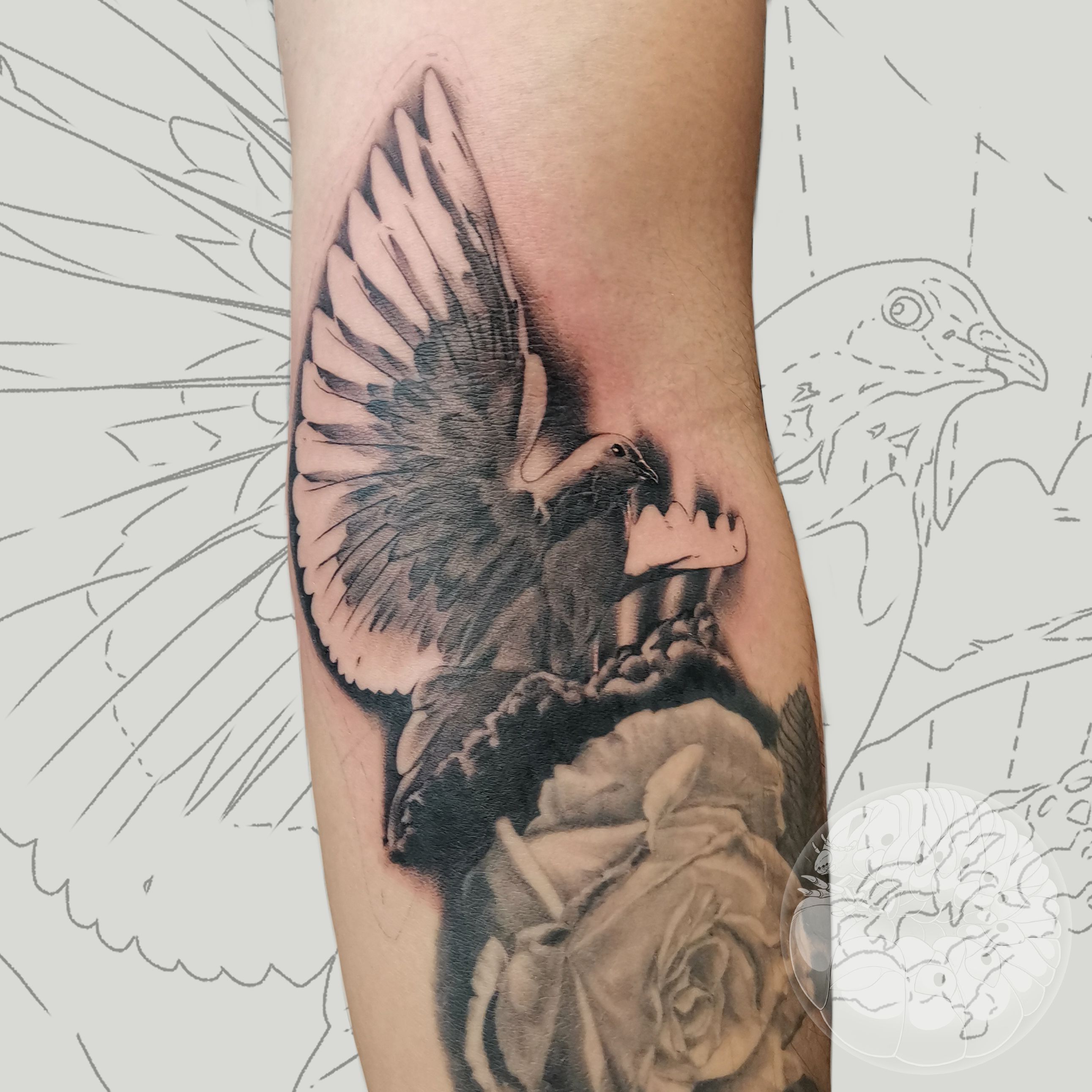Top 16 Best Bird Tattoos (2022) • Tattoodo