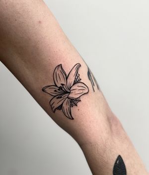 Get a stunning blackwork and illustrative design by Miss Vampira on your forearm, featuring a delicate flower intertwined with a spooky spider web.