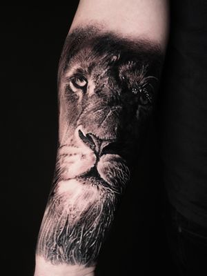 #lion #darkart #blackandgrey #realistictattoo #realism 