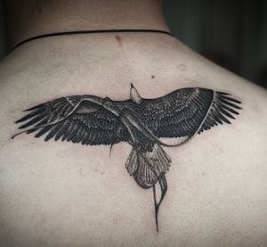 𝙄𝙂: 𝙣𝙖𝙩𝙚_𝙩𝙝𝙖𝙞𝙡𝙖𝙣𝙙 🌿 Blackwork eagle tattoo with flow by a tattoo artist in Chiang Mai, Thailand