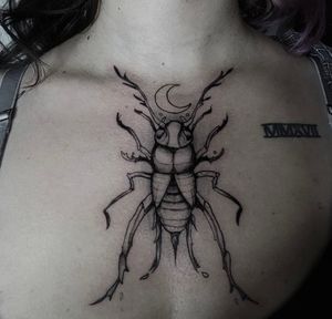 Insect on the chest for a new client.
