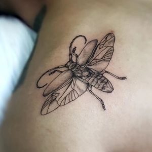 Beetle tattoo