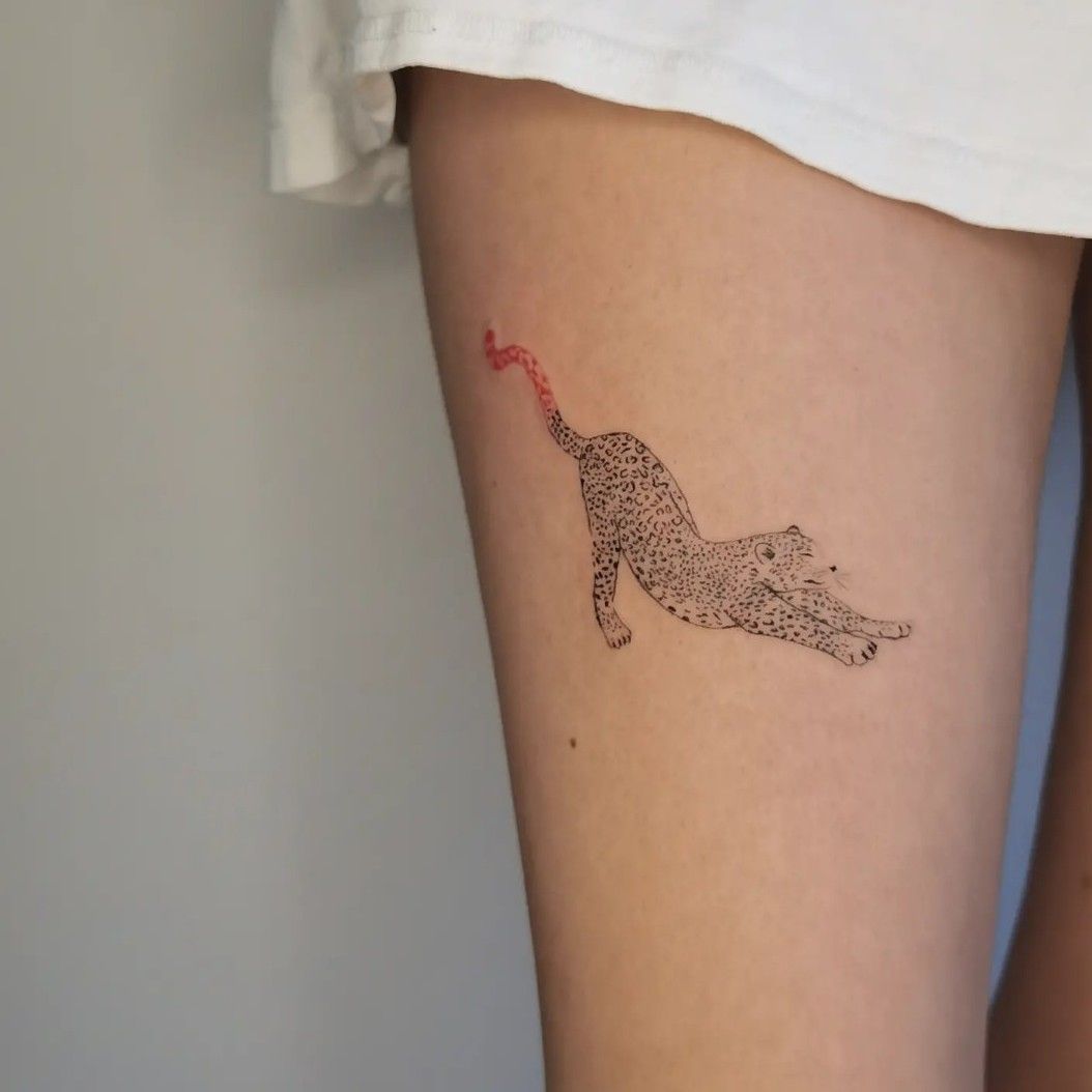 Cheetah Face Big Cat Temporary Tattoo Sticker - OhMyTat