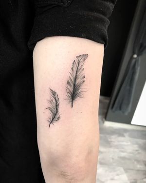 Tatuaj alb-negru cu pene A Touch Of Ink