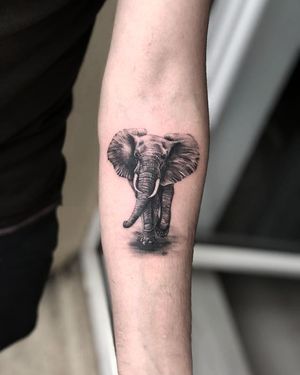 Tatuaj alb-negru cu elefant A Touch Of Ink