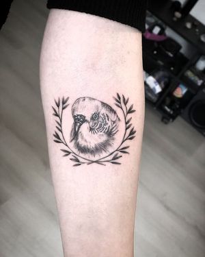 Tatuaj alb-negru cu papagal A Touch Of Ink