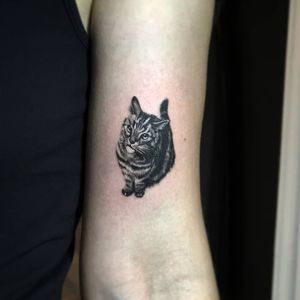 Tatuaj alb-negru cu pisica A Touch Of Ink