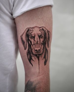 Blackwork tattoo of a dog on the upper arm, beautifully done by artist Jamie B