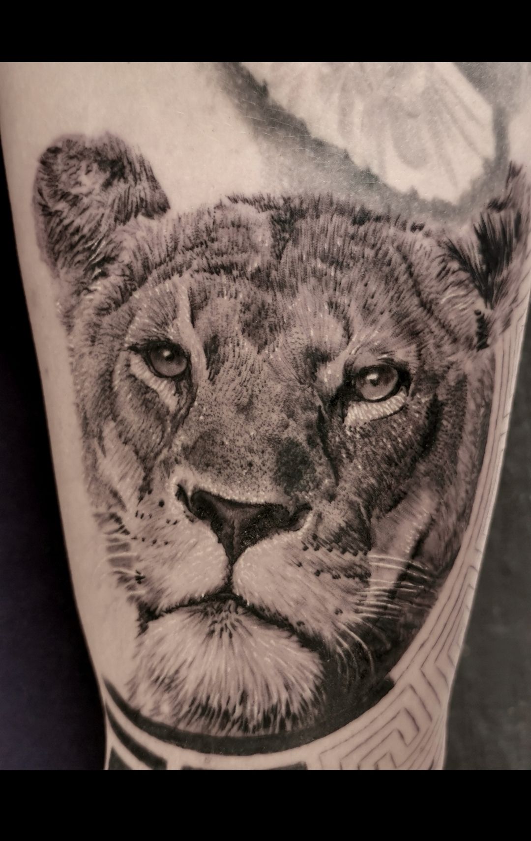 Lion and Lioness Tattoo - Etsy
