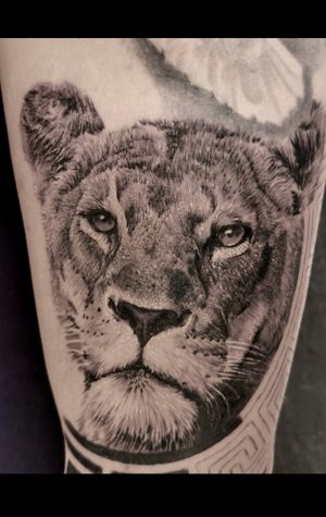 Lioness #animal #tattoo #lioness #lion #king #tattoos