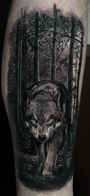 Tattoo uploaded by Djordje Milisavljevic • Wolf in the forest #forest #wolf  #animal #tattoo #tattoos #realism • Tattoodo
