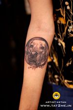labrador tattoo