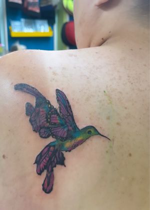 Hummingbird/ butterfly 