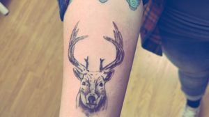 Animal tattoo by Mylie 