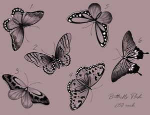 AVAILABLE FLASH BUTTERFLIES