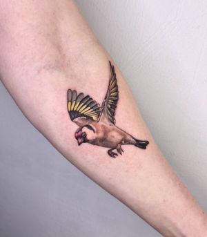 I love doing a bird tattoo and getting to do one in colour was an added treat!..#bird #birdtattoo #finch #goldfinch #goldfinchtattoo #colourtattoo #ornithology #colourbirdtattoo #illustrativebirdtattoo #londontattoo #tattoolondon #bookedontattoodo #birdinflight
