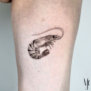 Realistic shrimp fineline tattoo by mr.j 