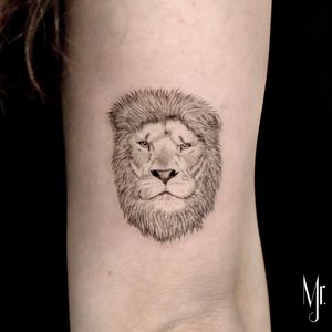 Lion 🦁 fineline tattoo by mr.j 
