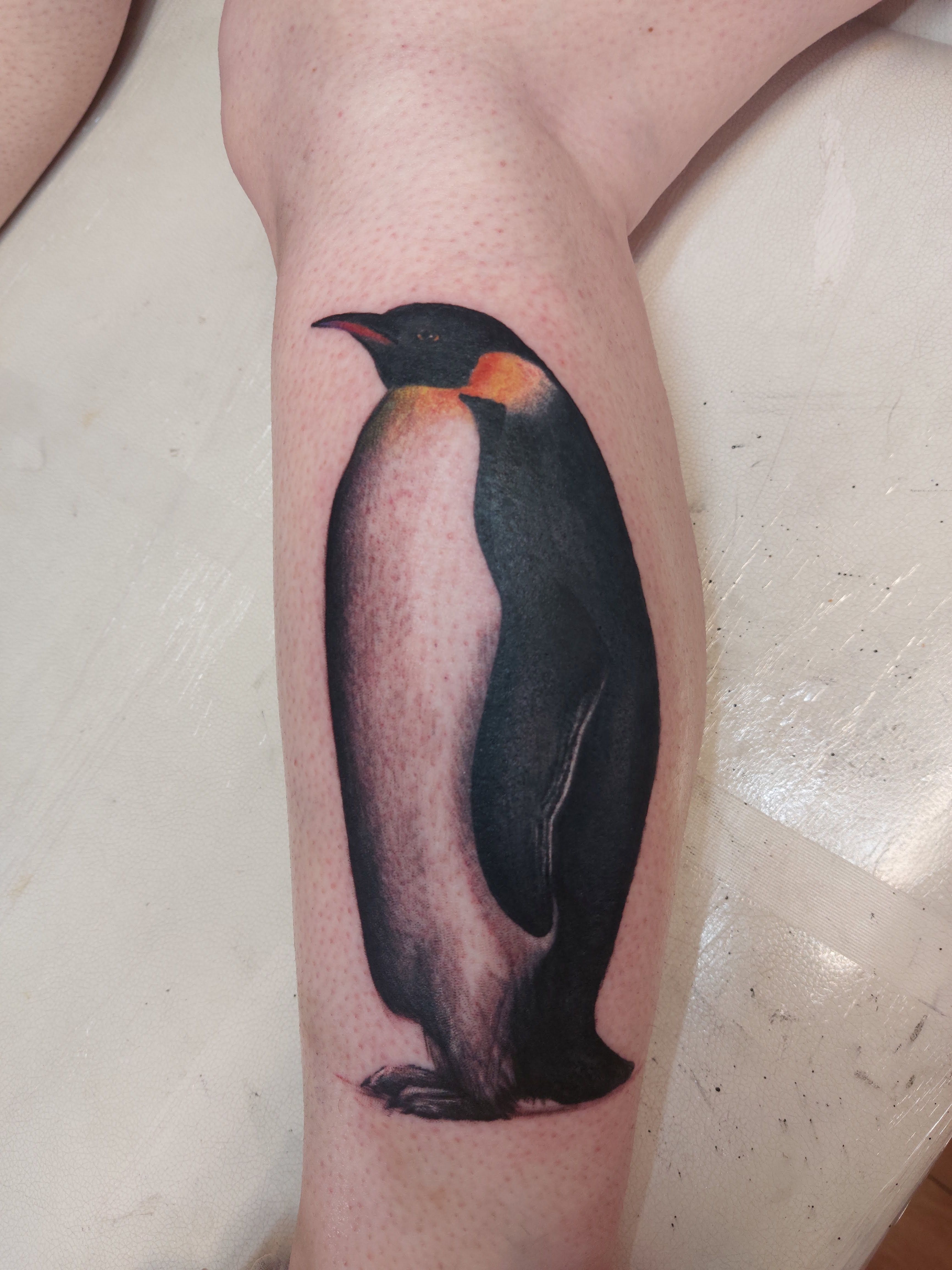 Emperor Penguin TATTOO by sHavYpus on DeviantArt