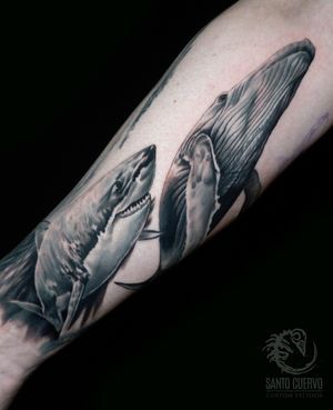 Get a stunning black and gray, realistic illustration of a whale and shark on your forearm in London, GB.