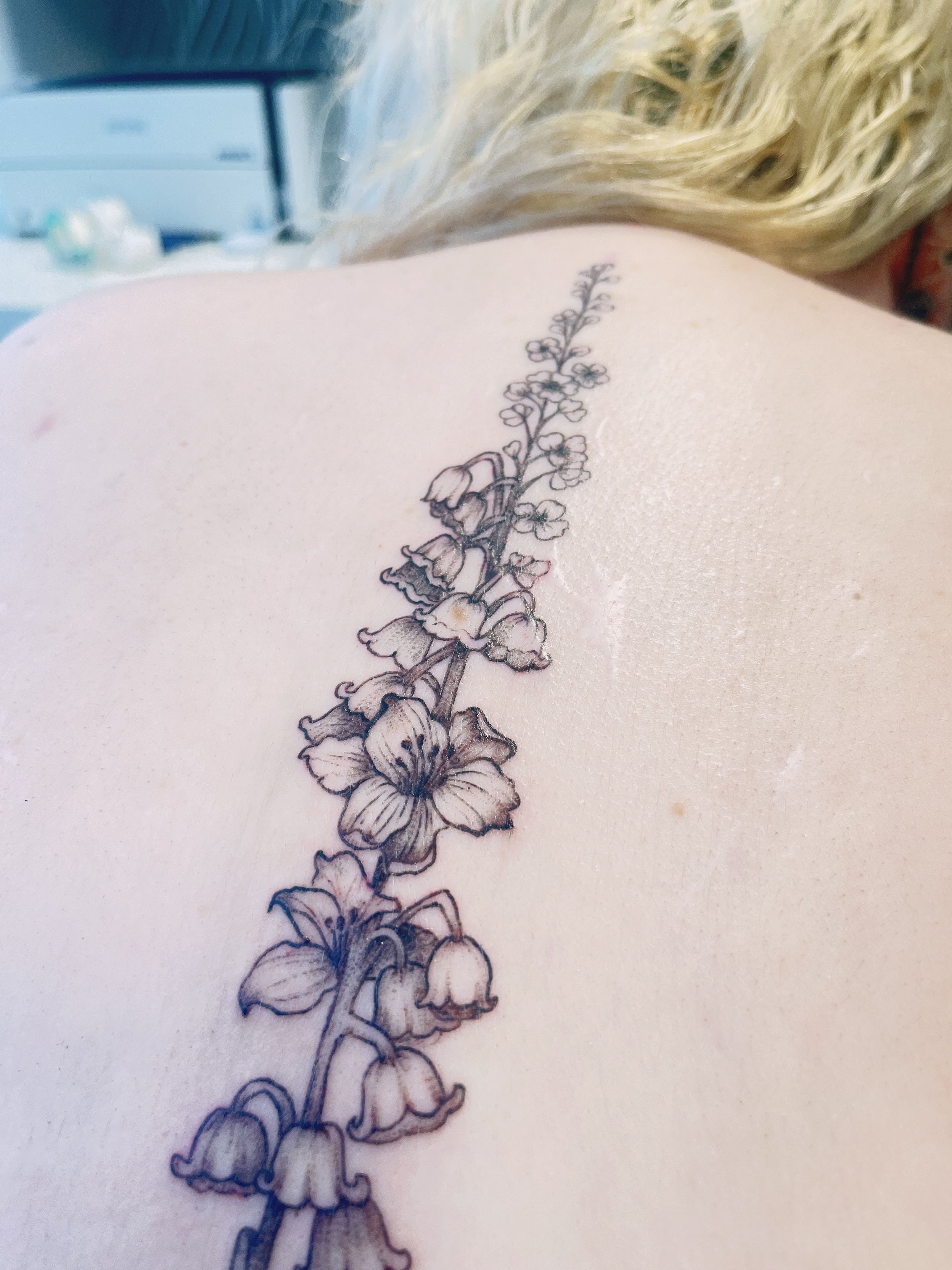 Vestige Tattoo Studio on Instagram: “Delphinium flower by @hnnhtattoo” | Flower  tattoo meanings, Flower tattoo, Delphinium tattoo