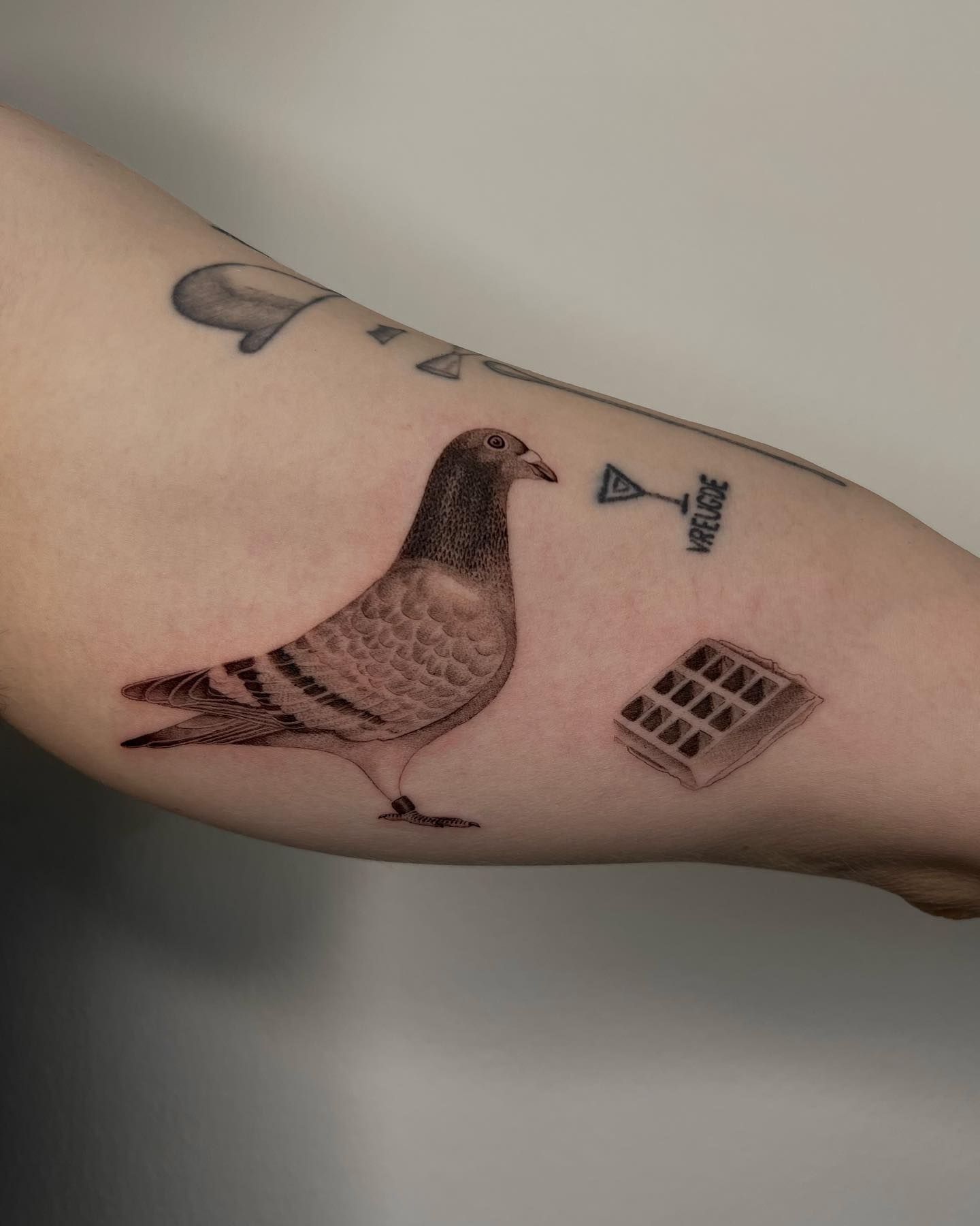 Pigeons tattoo by Artnik100 on DeviantArt
