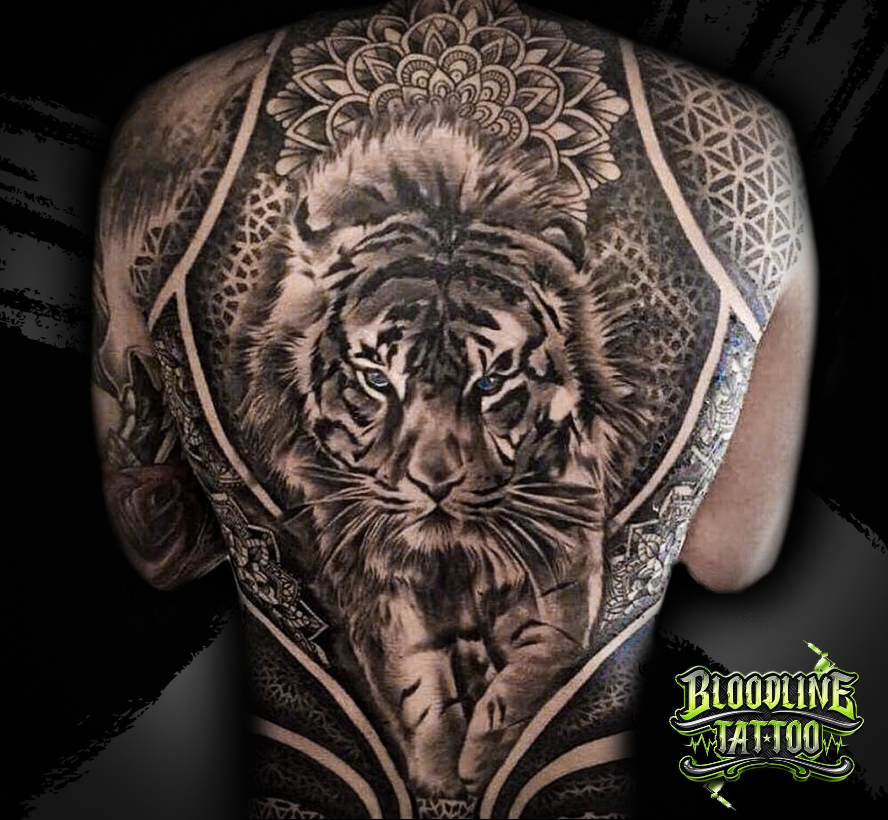 Dragon Tiger Tattoo Designs - Betting Exchange India