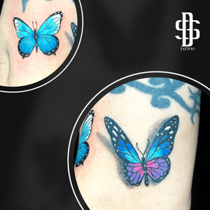 Some Color butterflies 