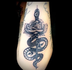 Snake and Rose by Artist: @diegoflores.art #tattoo #tattooideas #delicate #delicatetattoo #fineline #finelinetattoo #sandiego #highclasstattoo #highclasstattoosd #sandiegotattooartist #sandiegotattoo #sandiegotattoos #blackandgrey #blackandgreytattoo #realism #realismtattoo #realistic #realistictattoo 