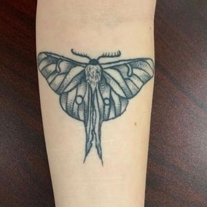 5/5 Luna Moth by Taylor