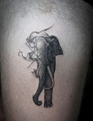 𝙄𝙂: 𝙣𝙖𝙩𝙚_𝙩𝙝𝙖𝙞𝙡𝙖𝙣𝙙 🌿 Blackwork realistic elephant tattoo with flow and fine linework by a Blackwork tattoo artist in Chiang Mai, Thailand