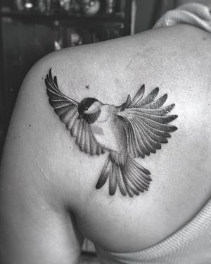 Detailed bird tattoo
