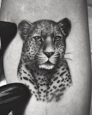 Leopard micro realism style tattoo
