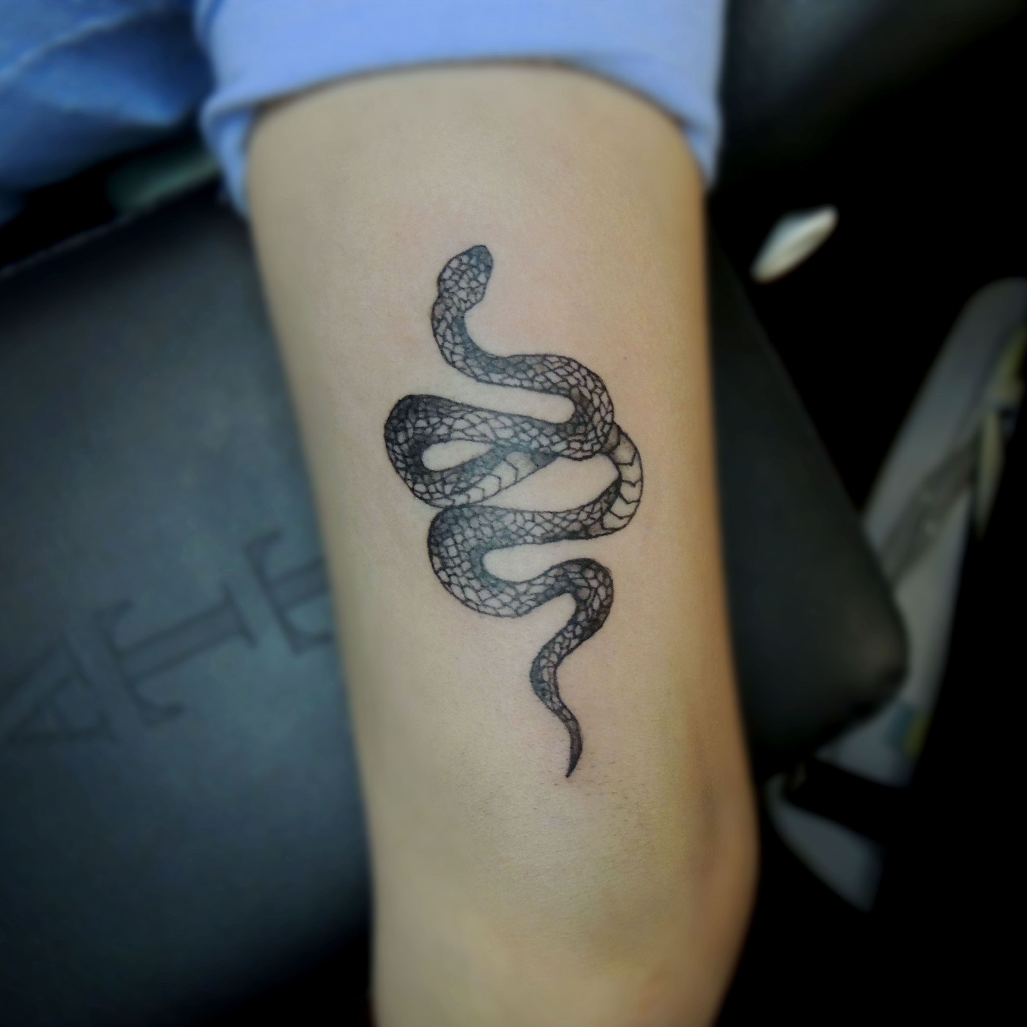 Tattoo uploaded by Rafa Chami • Serpiente pequeña en brazo • Tattoodo