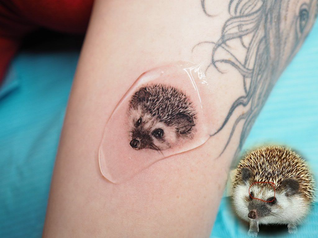 prompthunt: hedgehog tattoo drawing