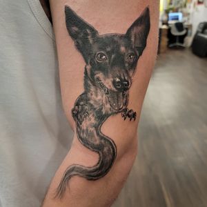 A stunning blackwork tattoo of a dog, beautifully executed by Arlene Salinas on the arm.