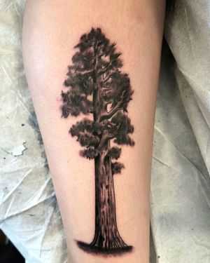 Unique blackwork forearm tattoo of a tree, beautifully crafted by artist Arlene Salinas.