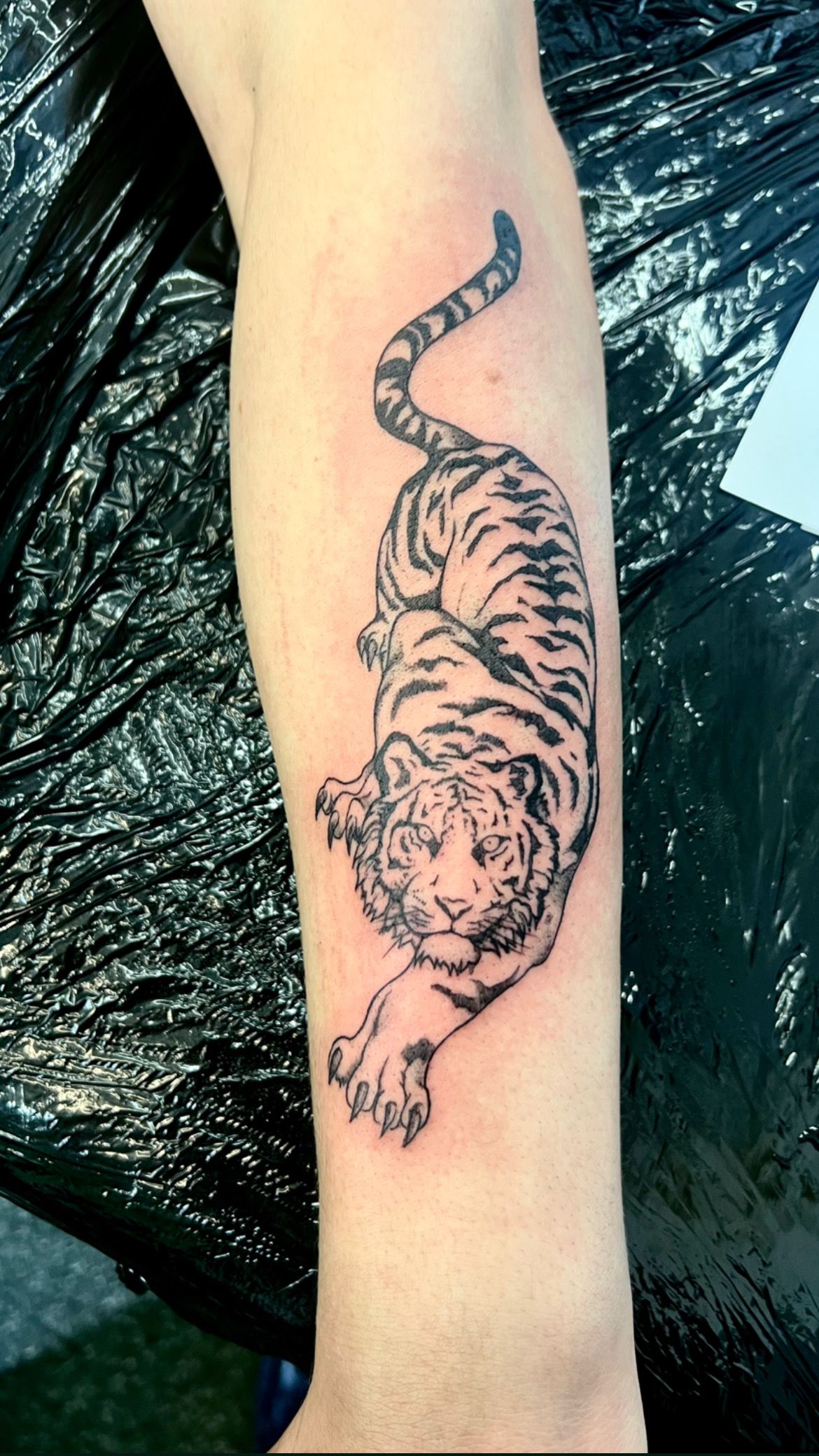 White Tiger Tattoo by Hellsong-Diabla on DeviantArt