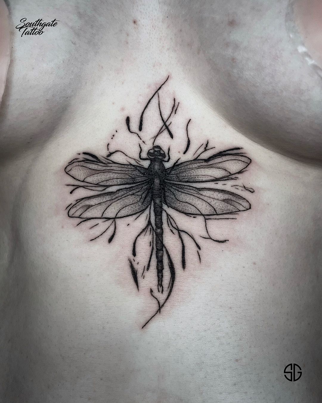 49 Classic Dragonfly Tattoos For Back  Tattoo Designs  TattoosBagcom