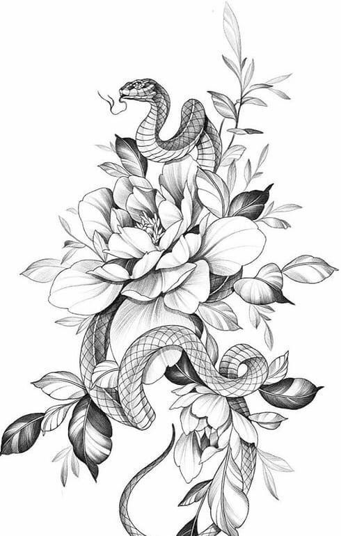 Rose And Snake – Tattooed Now !